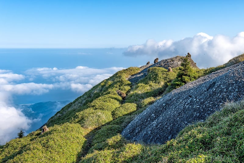 Yakushima, Japan